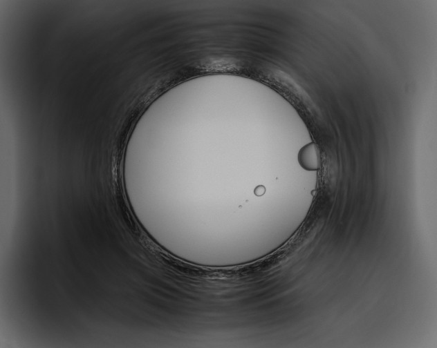 X0000097480549200802220823