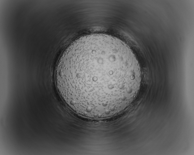 X0000097480550200802220823