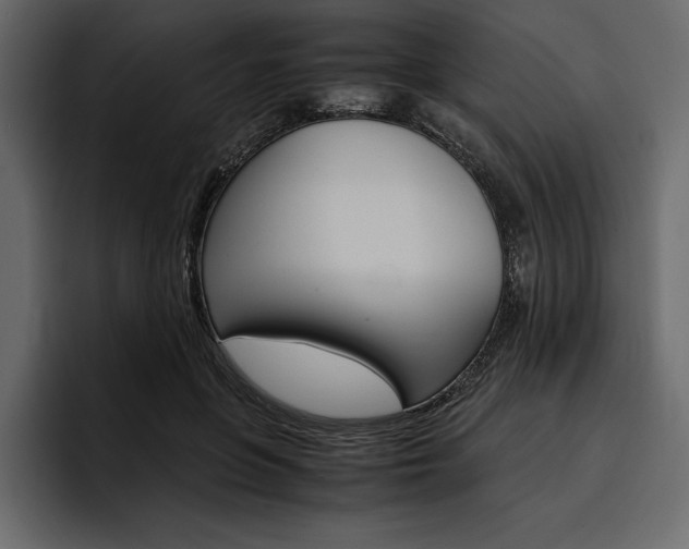 X0000097480551200802220823