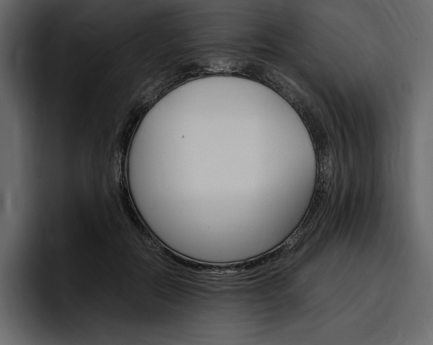 X0000097480554200802220823