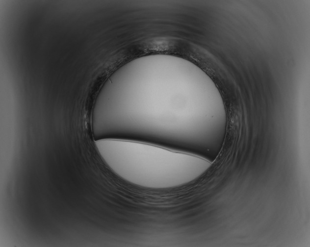 X0000097480555200802220823