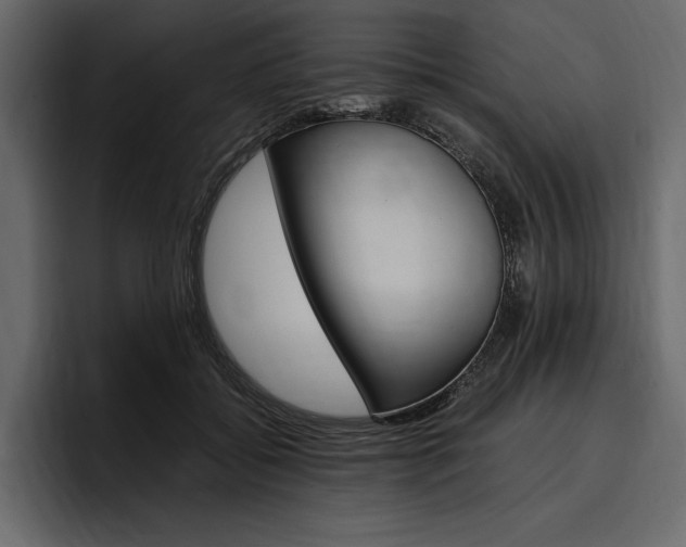 X0000097480556200802220823