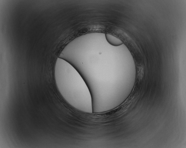 X0000097480557200802220823
