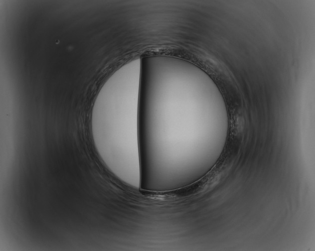 X0000097480558200802220823