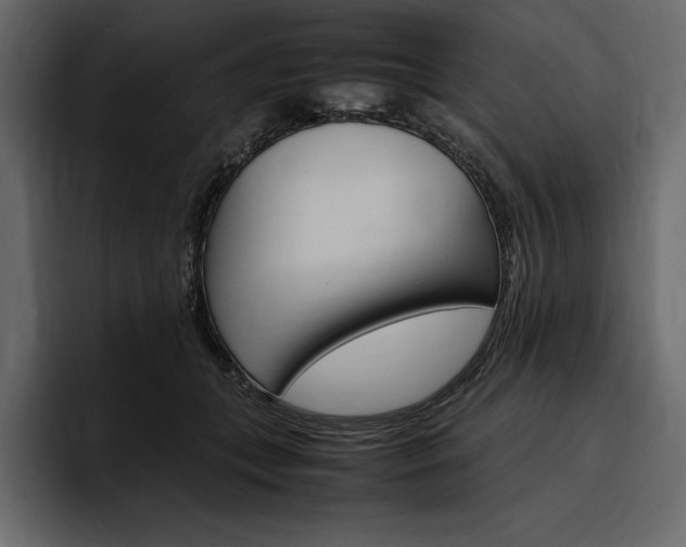 X0000097480559200802220823