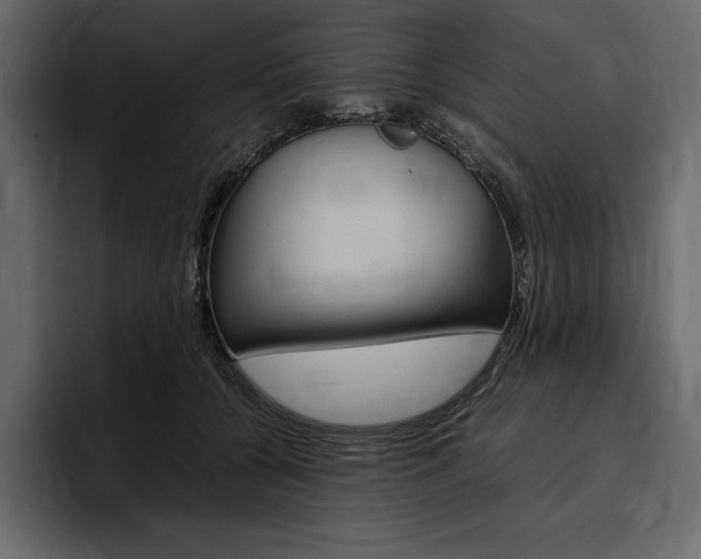 X0000097480560200802220823