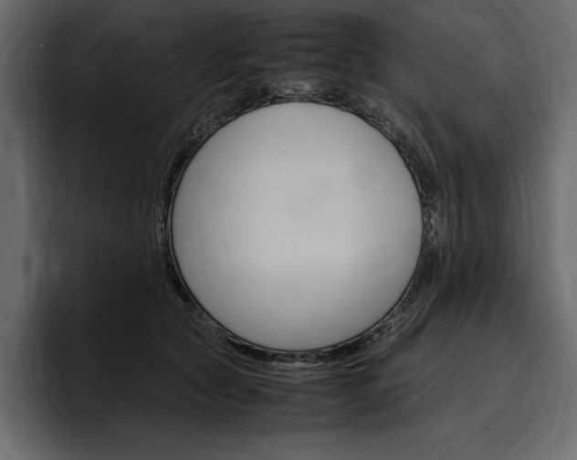 X0000097480561200802220823