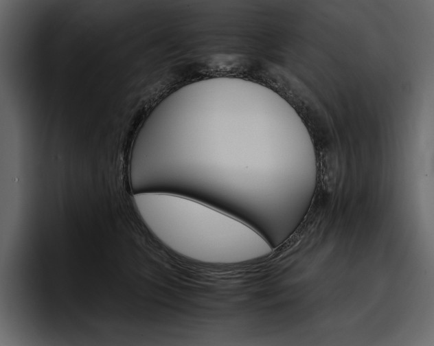 X0000097480563200802220823