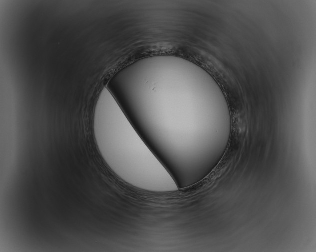 X0000097480564200802220823