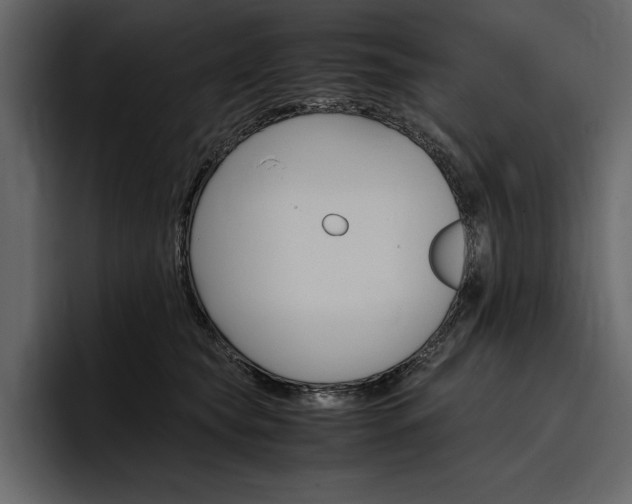 X0000097480565200802220823
