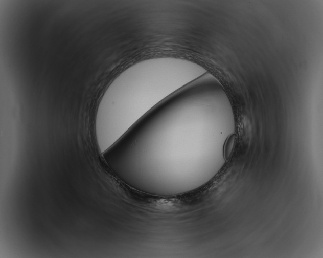 X0000097480566200802220823