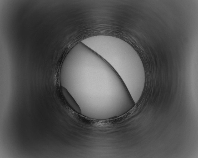 X0000097480568200802220823