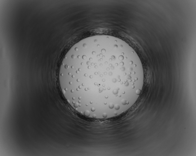 X0000097480569200802220823