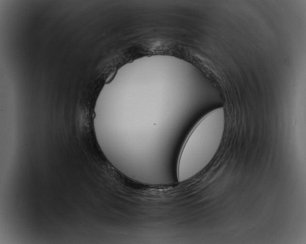 X0000097480571200802220823