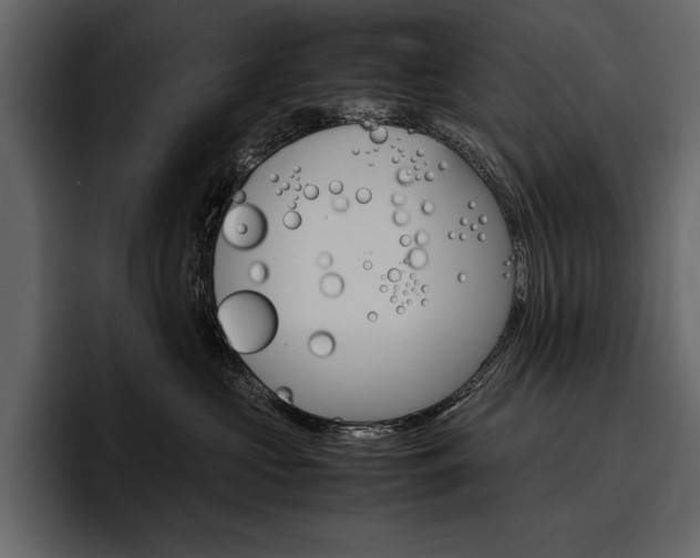 X0000097480573200802220823