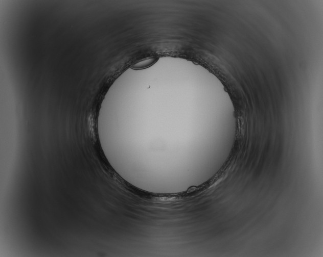 X0000097480575200802220823