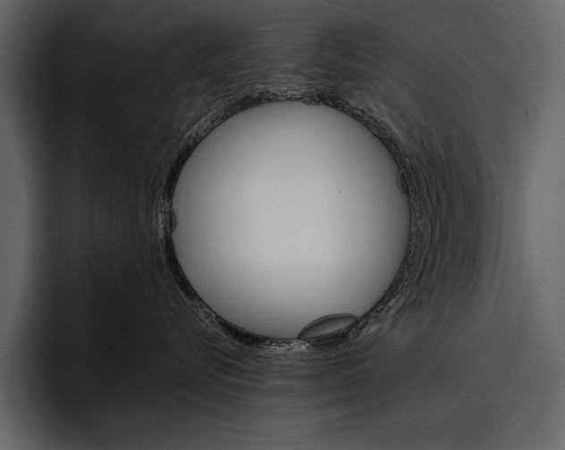 X0000097480576200802220823