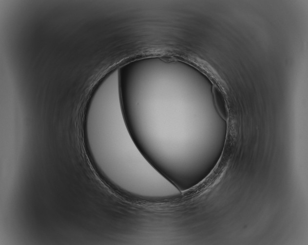 X0000097480577200802220822