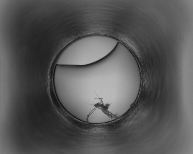 X0000097480578200802220822