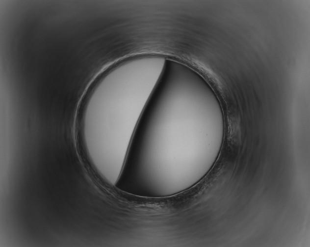 X0000097480580200802220822