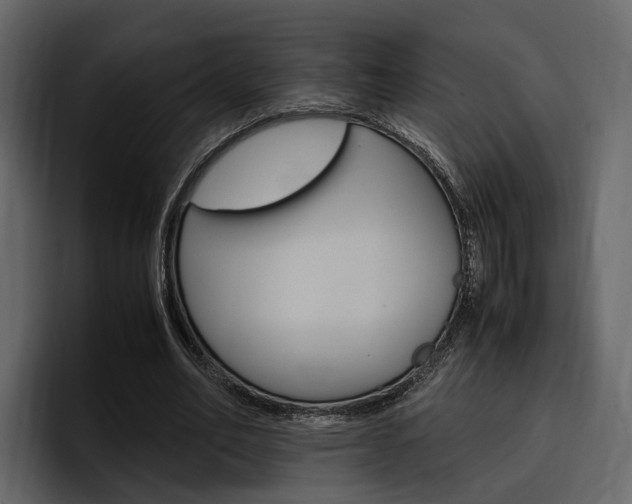X0000097480582200802220822