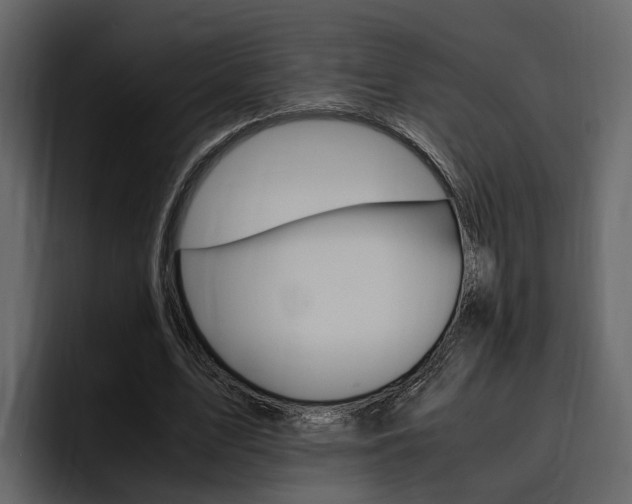 X0000097480583200802220822