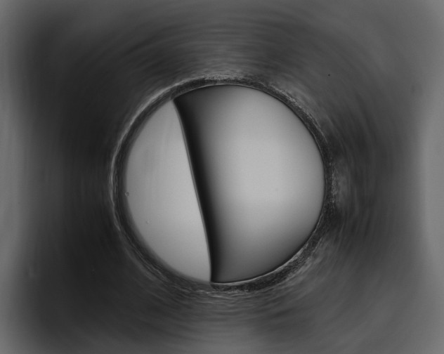 X0000097480584200802220822