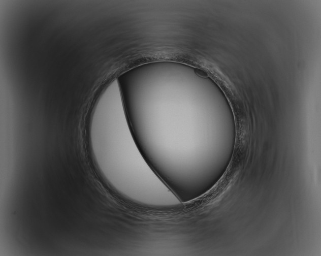 X0000097480585200802220822