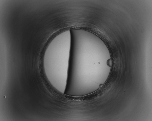 X0000097480592200802220822