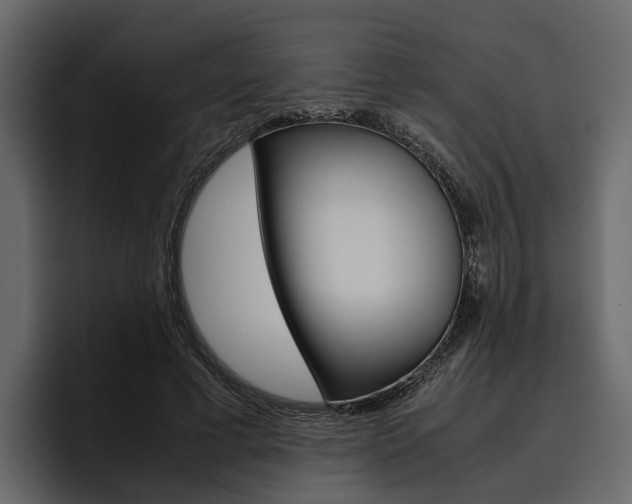 X0000097480593200802220822