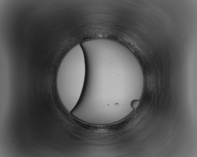 X0000097480594200802220822