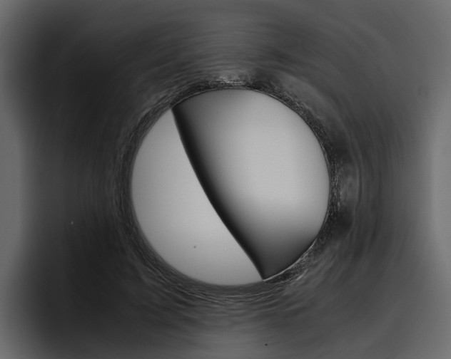 X0000097480595200802220822