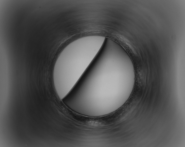 X0000097480596200802220822