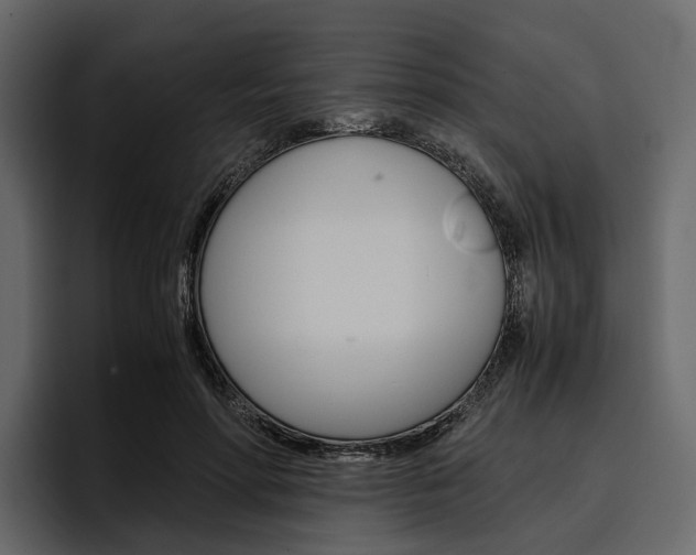 X0000097480598200802220822