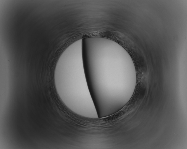 X0000097480599200802220822