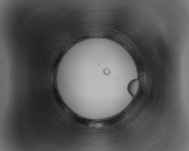 X0000097480602200802220822