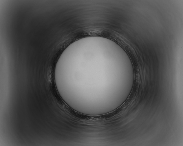 X0000097480604200802220822