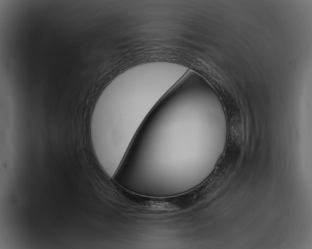 X0000097480605200802220822