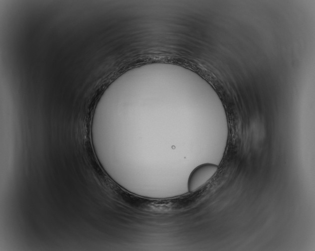X0000097480606200802220822