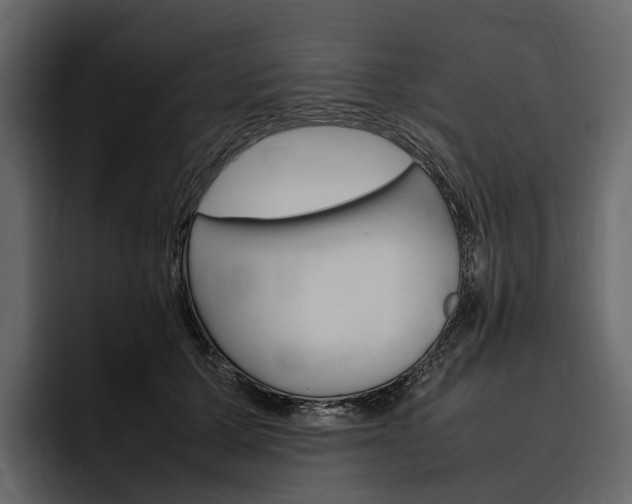 X0000097480607200802220822