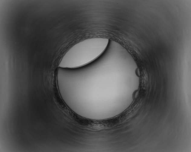 X0000097480608200802220822