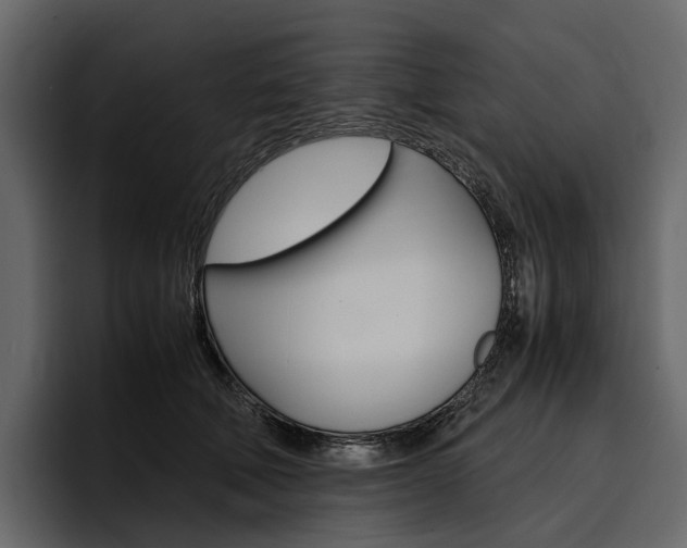 X0000097480610200802220822