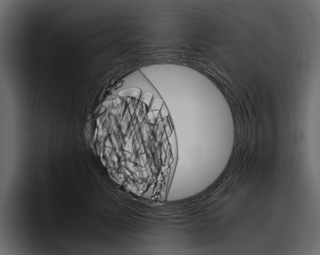 X0000097480611200802220822