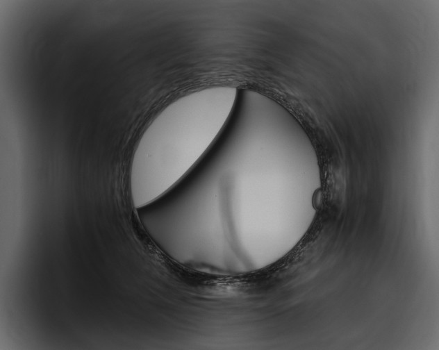 X0000097480612200802220822