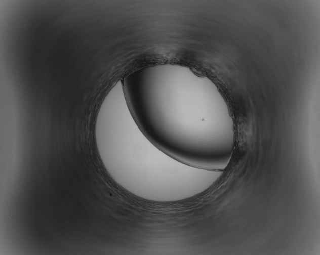 X0000097480613200802220822