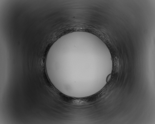 X0000097480614200802220822