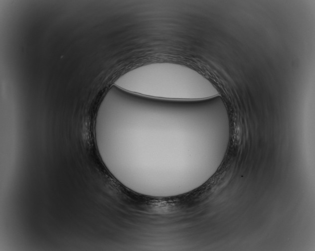 X0000097480616200802220822