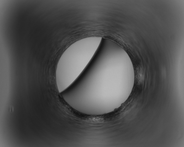 X0000097480619200802220822