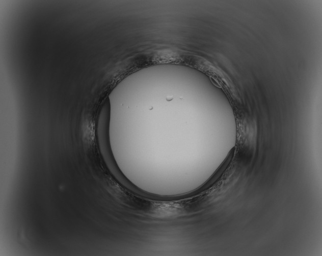 X0000097480621200802220822