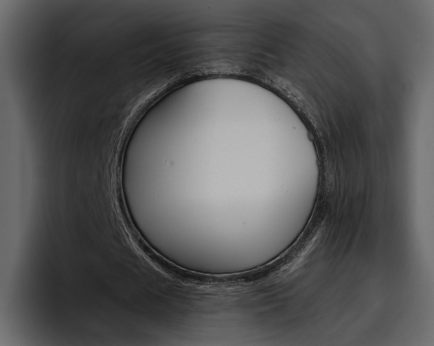 X0000097480625200802220821